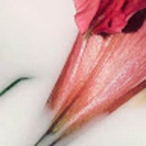 Meet your Posher, Youjin